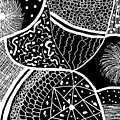 Complicated Variation